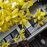 Sara Paradfuerdo 아파트 *
